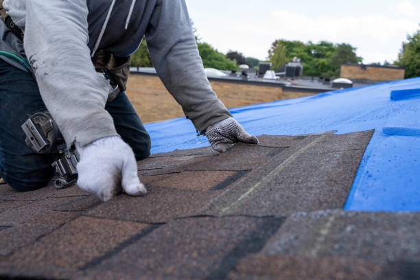 Best Metal Roofing Contractor  in Scottsboro, AL